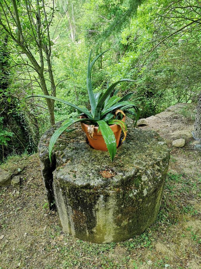 Casa Rural Ardetxal A 16Km De Logrono Y Laguardia Vinaspre Luaran gambar